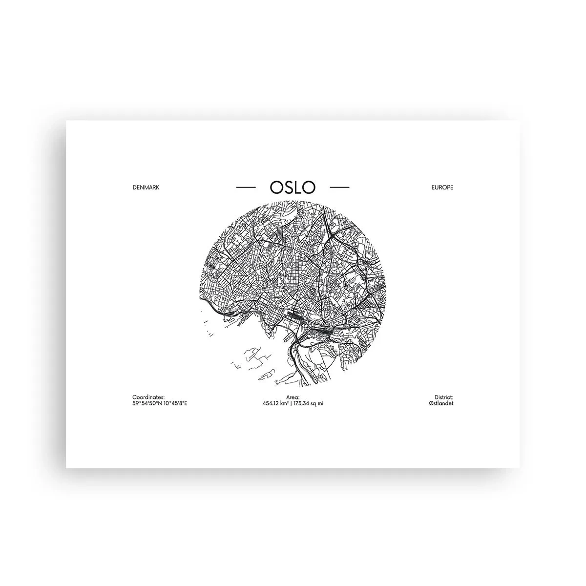 Affisch - Oslos anatomi - 40x30 cm