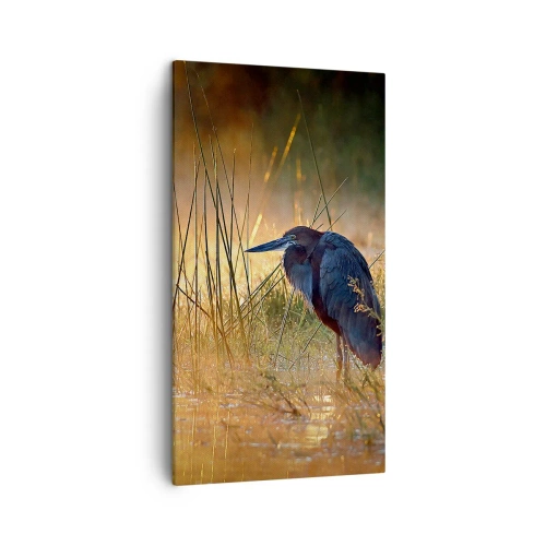 Canvastavla - Bild på duk - Sluta fota - 45x80 cm
