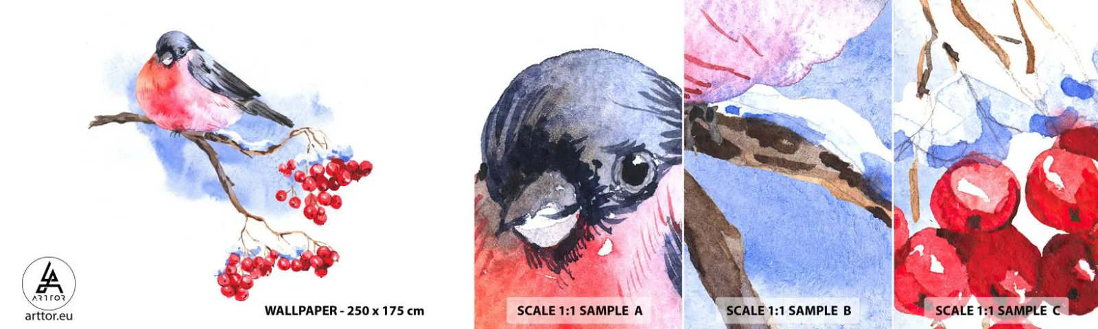 Provbit av självhäftande fototapet Deluxe Sticker - Vinter i färger - Fågel På En Gren, Röd Rönn, Grafik - 100x30 cm