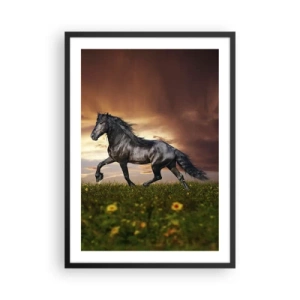 Affisch i svart ram - En svart häst galopperar över en äng i ljuset av den nedgående solen. - 50x70cm - Svarta prinsen - Modern väggdekoration för vardagsrum och sovrum ARTTOR