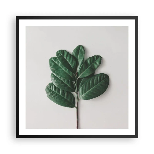 Affisch i svart ram - Själva naturens bild - 60x60 cm