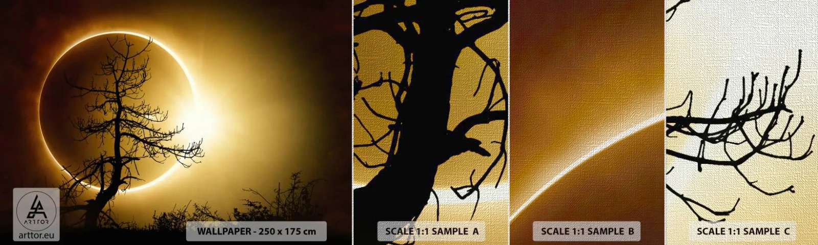 Provbit av fototapet Premium Canvas - Total förmörkelse - Förmörkelse, Träd, Landskap - 100x30 cm