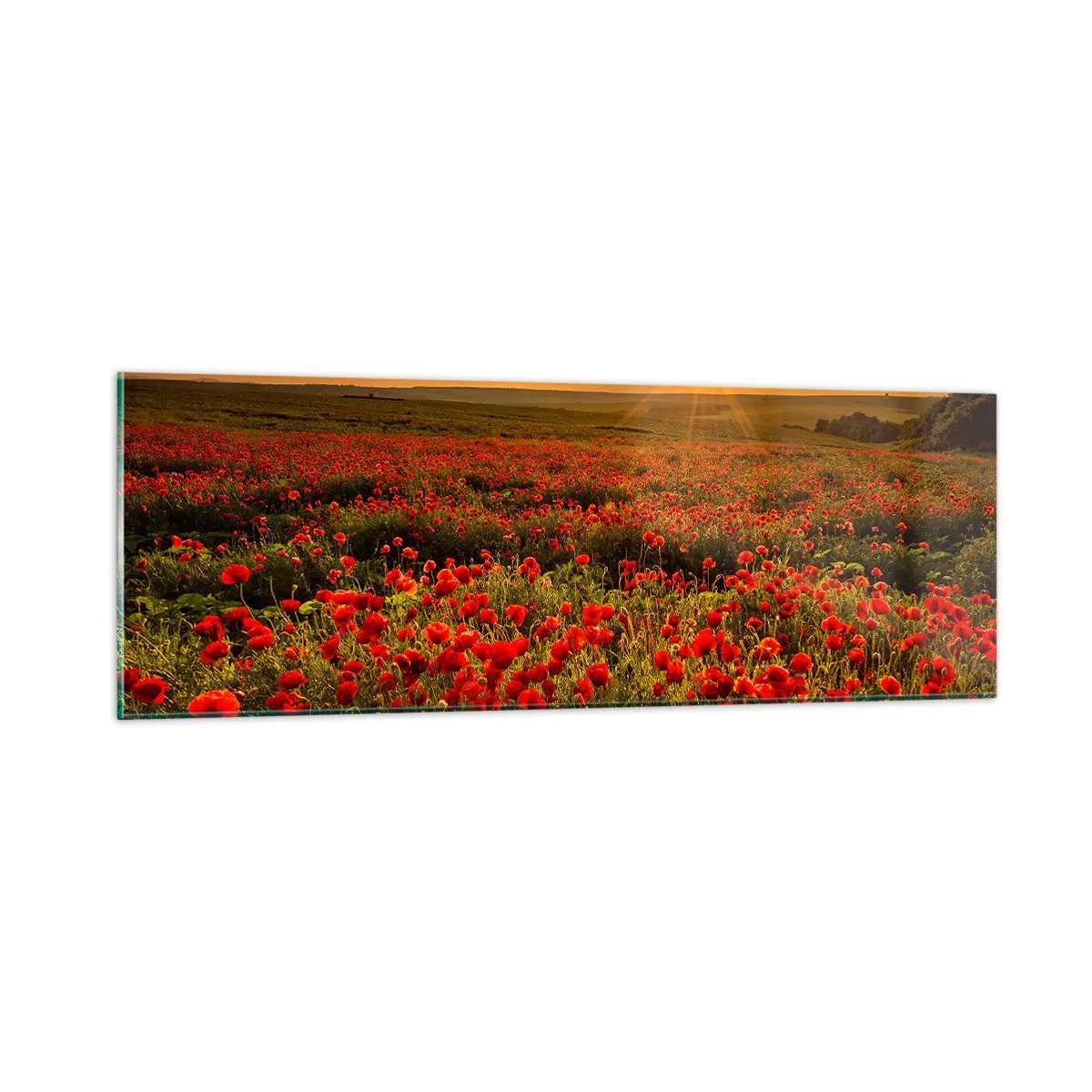 Glastavla - Bild på glas - Bland brusande ängars vågor, bland blommornas flod - 90x30 cm
