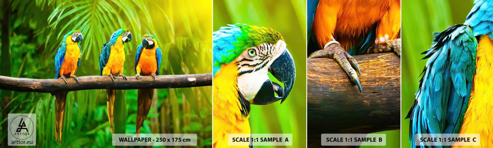 Fototapet Prov Standard Eco - Har du hört att hon...? - Fåglar, Papegojor, Natur - 100x30 cm