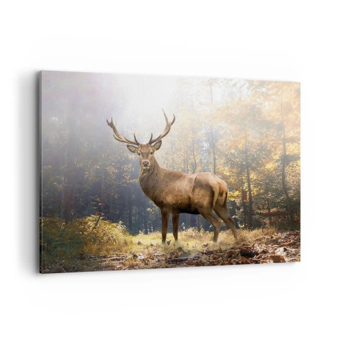 Canvastavla - Bild på duk - I fullt majestät - 100x70 cm