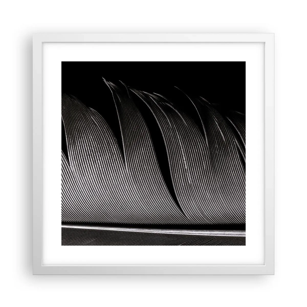 Affisch i vit ram - Fjäder - en underbar konstruktion - 40x40 cm