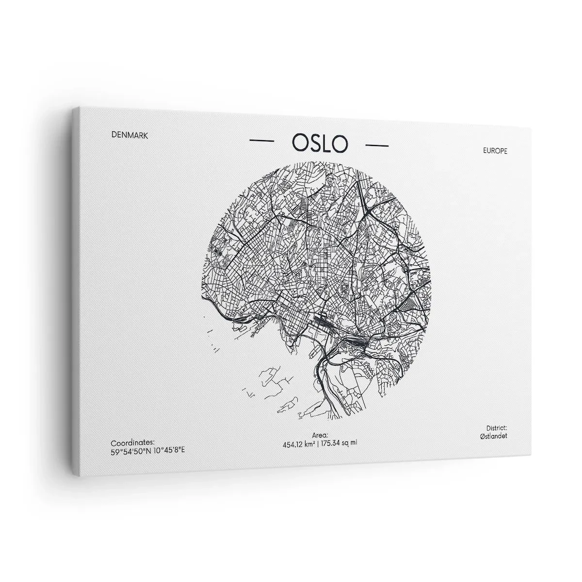 Canvastavla - Bild på duk - Oslos anatomi - 70x50 cm