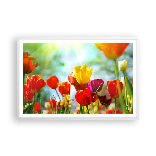 Affisch i vit ram - Solens alla färger - 91x61 cm