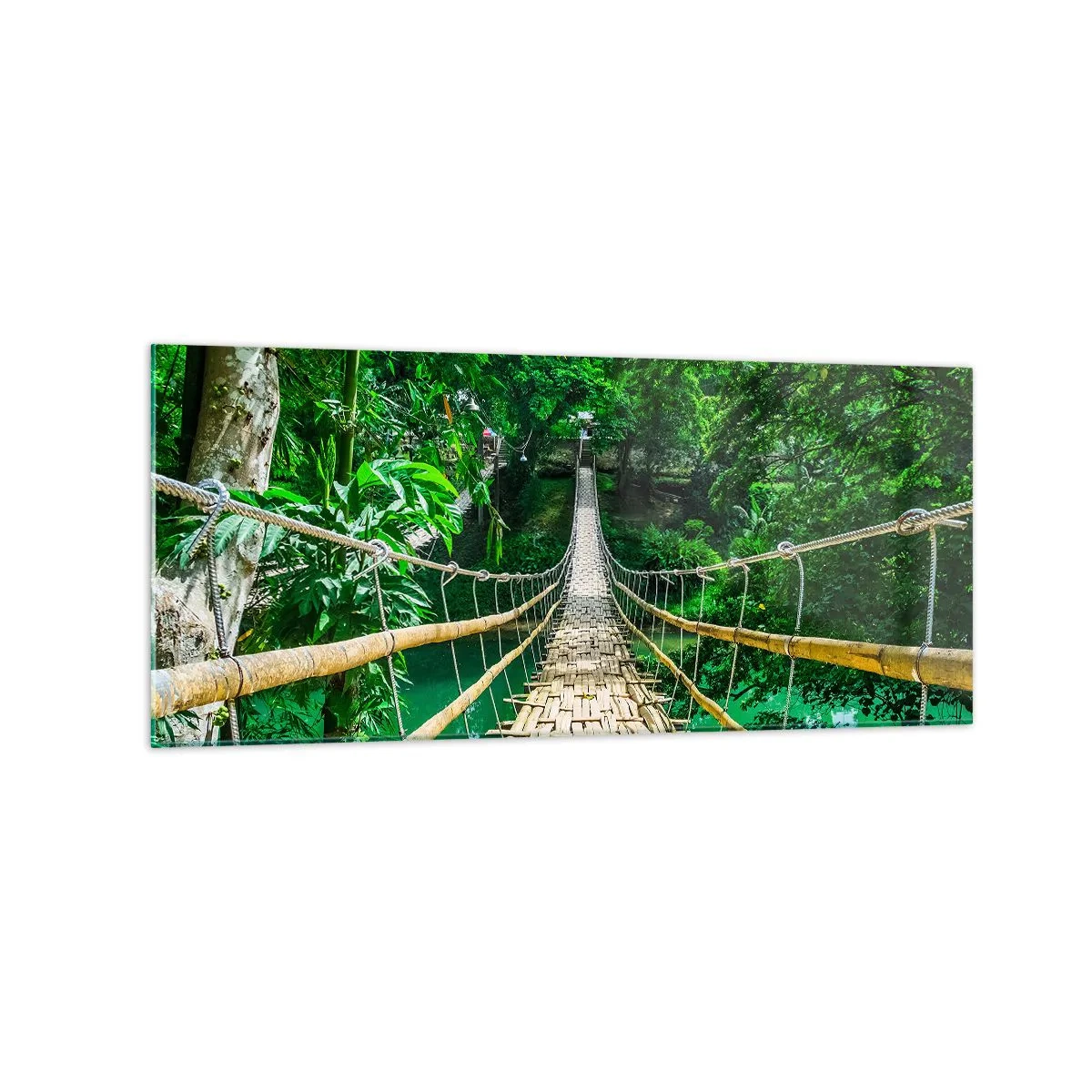 Glastavla - Bild på glas - Apbro över grönskan - 120x50 cm