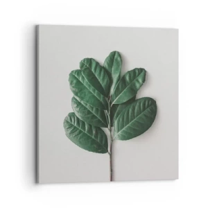 Canvastavla - Bild på duk - Själva naturens bild - 70x70 cm