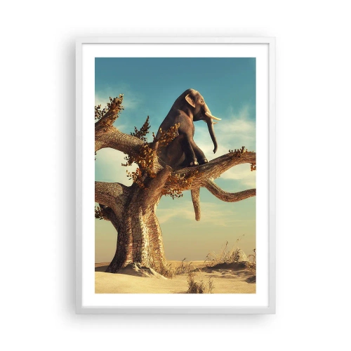 Affisch i vit ram - Ny synvinkel - 50x70 cm