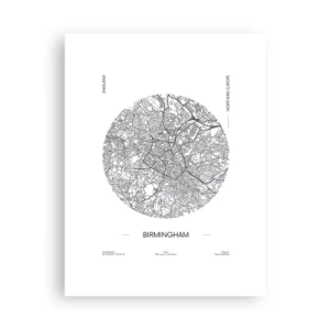 Affisch - Birminghams anatomi - 30x40 cm