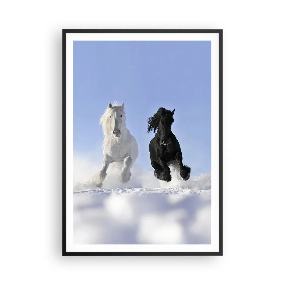 Affisch i svart ram - Svart-vit galopp - 70x100 cm