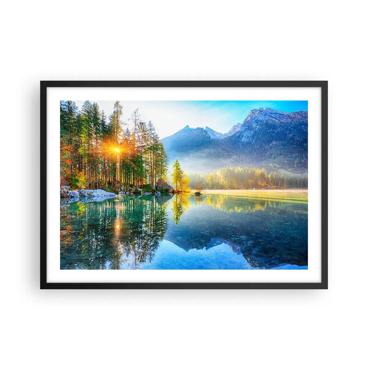 Affisch i svart ram - Majestät och sötma - 70x50 cm