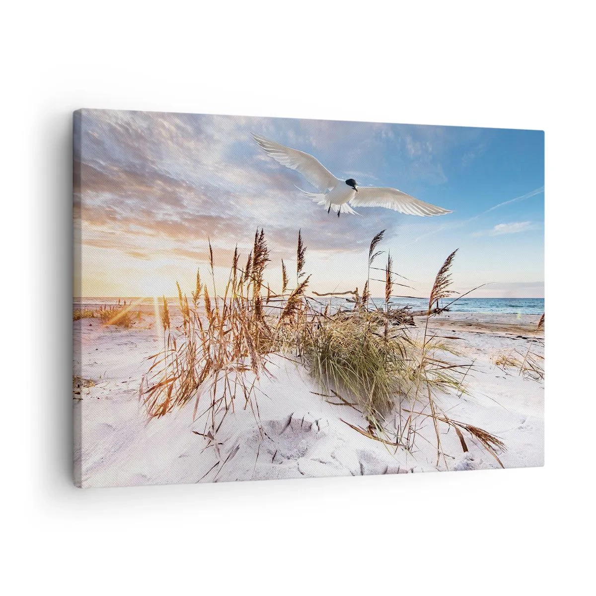 Canvastavla - Bild på duk - Strand med flygande måsar vid solnedgången - 70x50cm - Vind från havet - Modern väggdekoration för vardagsrum och sovrum ARTTOR