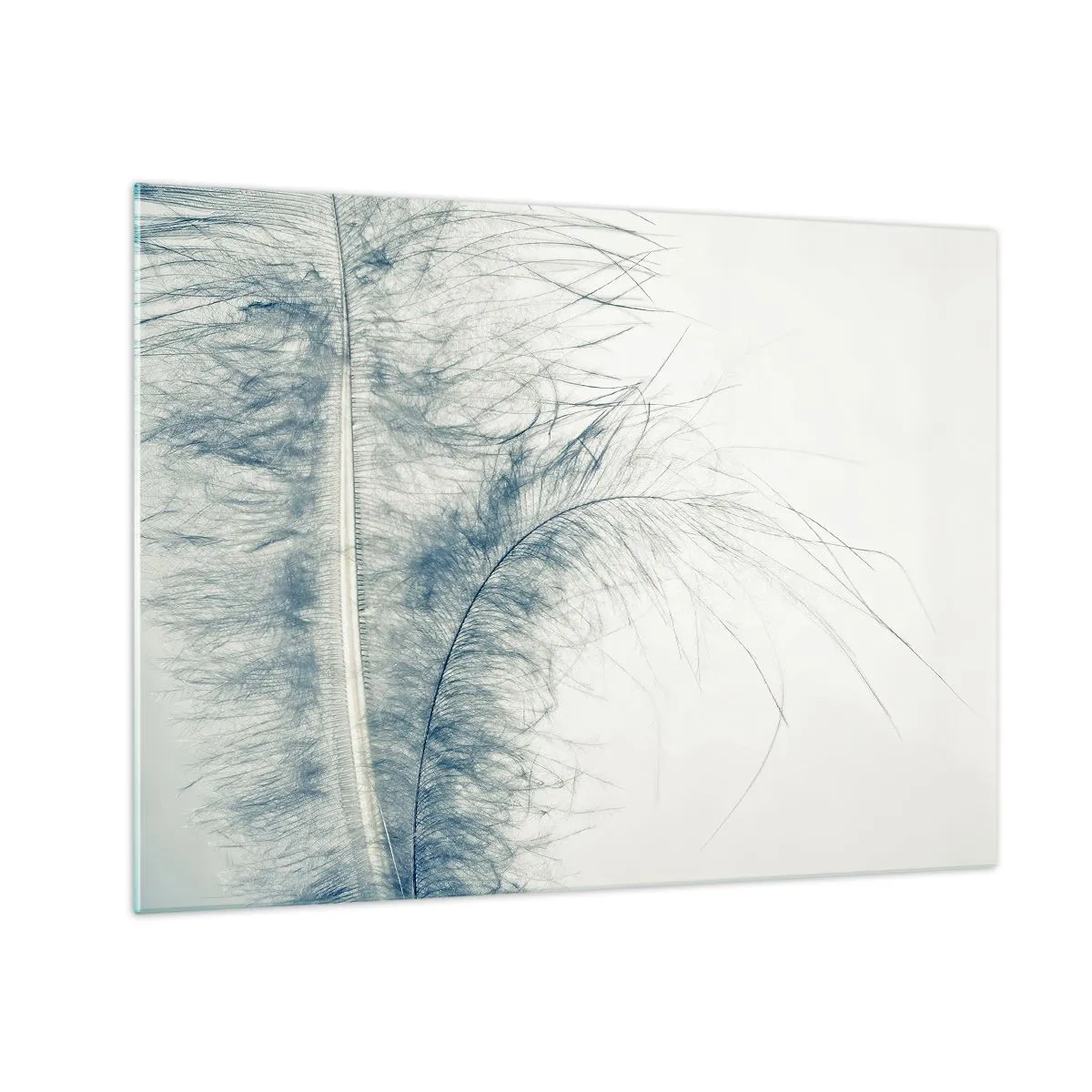 Glastavla - Bild på glas - En delikat fjäder mot en ljus bakgrund i minimalistisk stil - 70x50cm - Naturens viskningar - Modern väggdekoration för vardagsrum och sovrum ARTTOR