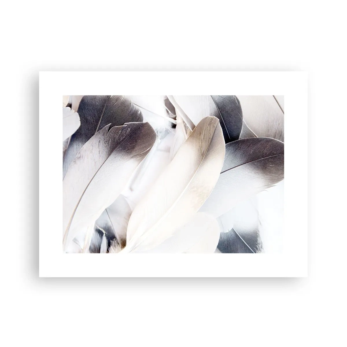 Affisch - Nästan änglalik - 40x30 cm
