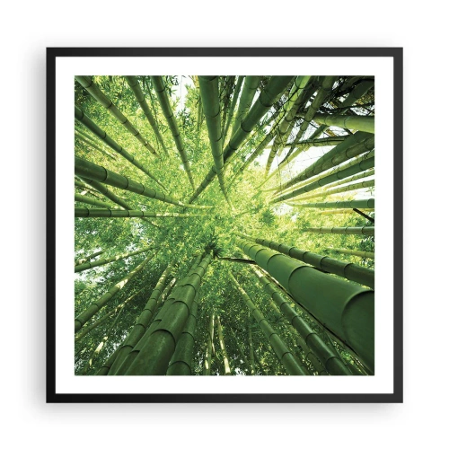 Affisch i svart ram - I en bambushage - 60x60 cm