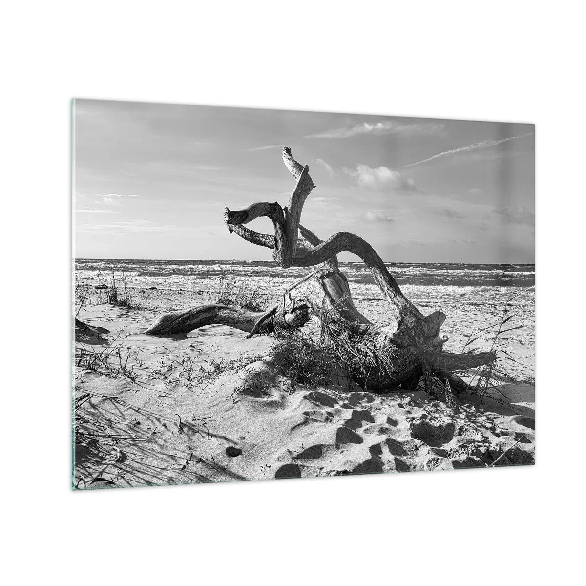Glastavla - Bild på glas - Ett svartvitt landskap med en fallen gren på en strand vid havet. - 70x50cm - Havets skulptur - Modern väggdekoration för vardagsrum och sovrum ARTTOR