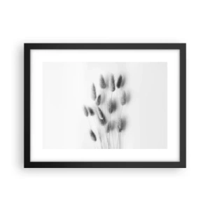 Affisch i svart ram - Fluffigt gräs - 40x30 cm