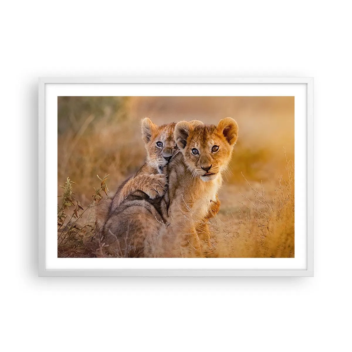 Affisch i vit ram - Stör inte! Vi har kul - 70x50 cm