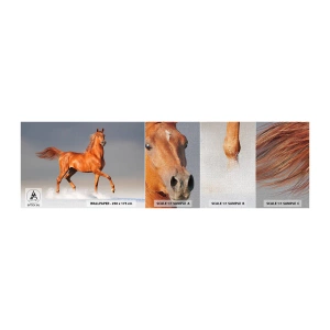 Provbit av fototapet Premium Canvas - Dansande grace - Djur, Häst, Natur - 100x30 cm