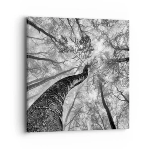 Canvastavla - Bild på duk - Kapplöpning mot ljuset - 40x40 cm