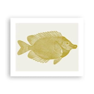 Affisch - Fisk och det är allt - 50x40 cm