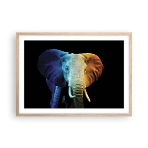 Affisch i ram av ljusek - Excentriker, ej kuf - 70x50 cm