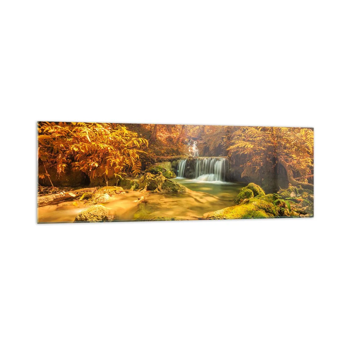 Glastavla - Bild på glas - Skogkaskad i gult - 160x50 cm