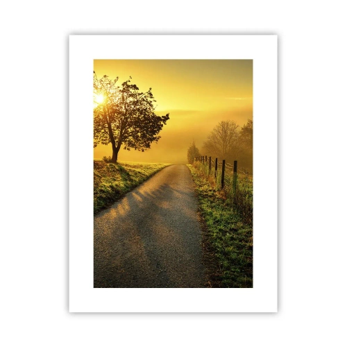 Affisch - Honungfärgad eftermiddag - 30x40 cm