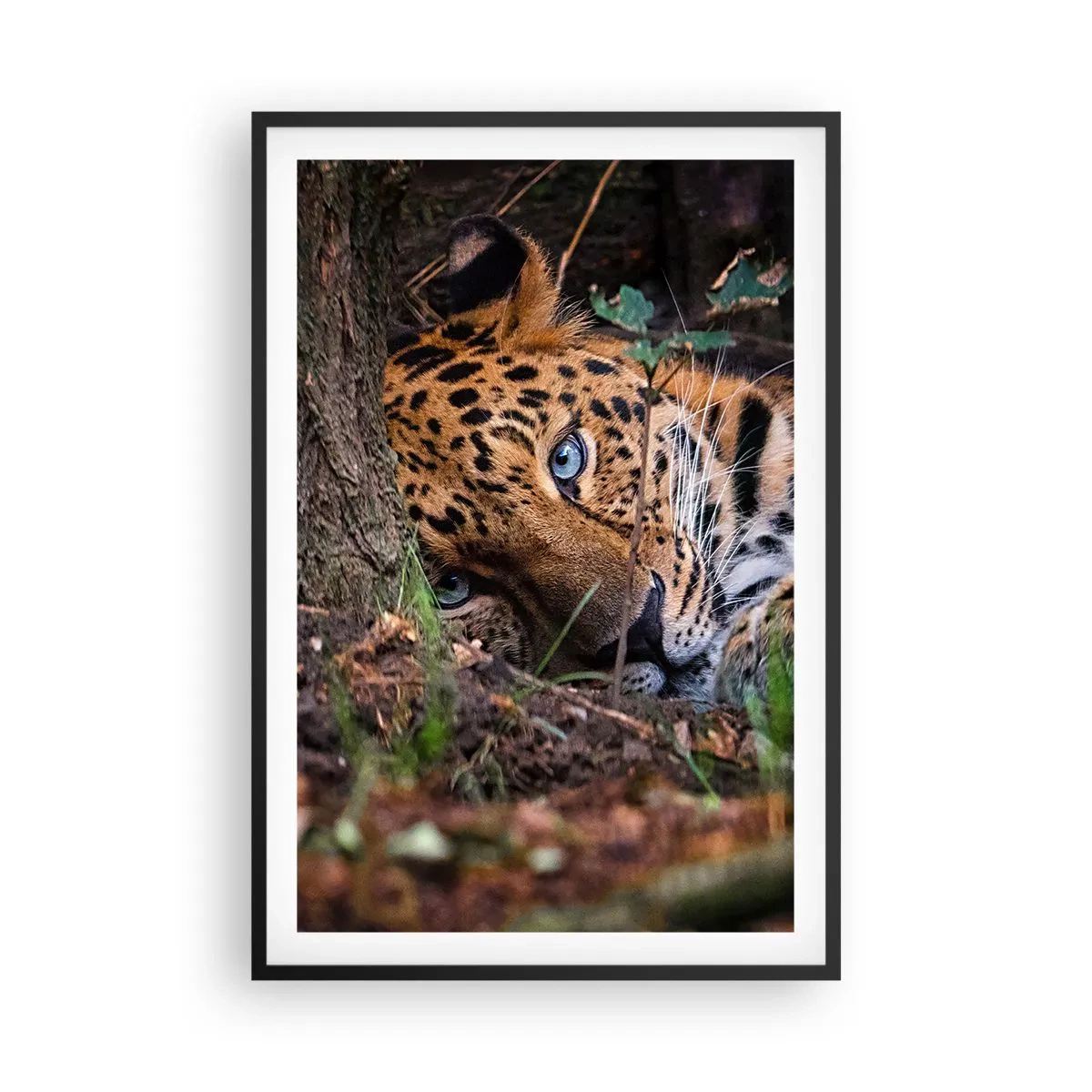 Affisch i svart ram - Tro mig - 61x91 cm