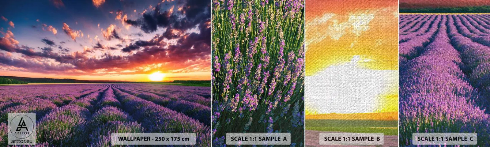 Provbit av fototapet Premium Canvas - Lavandelvärld - Landskap, Lavendelfält, Lavendel - 100x30 cm