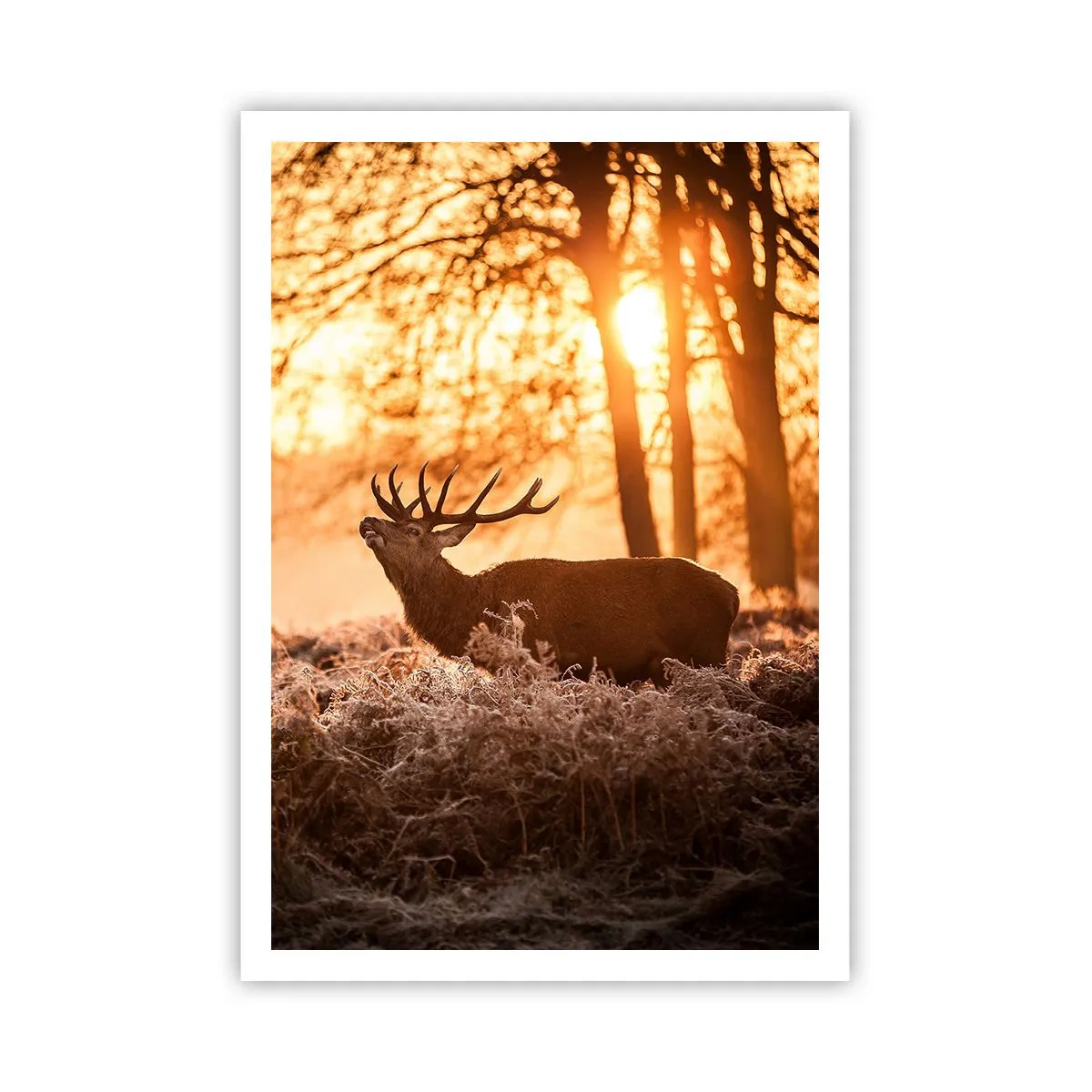 Affisch - Jägarens dröm - 70x100 cm