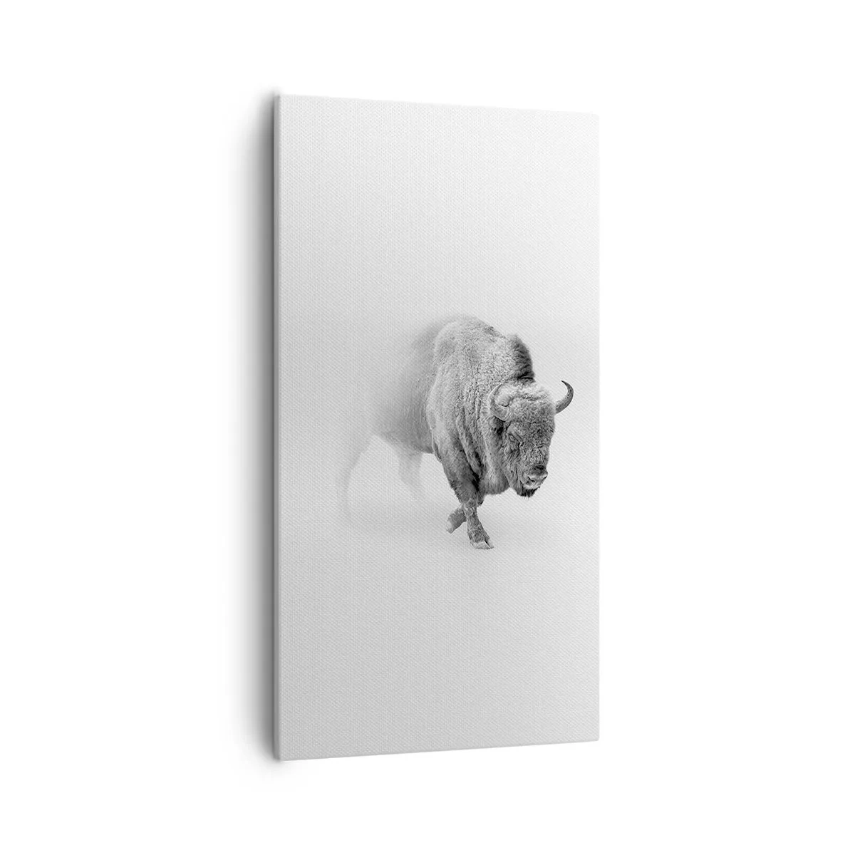 Canvastavla - Bild på duk - Präriens kung - 55x100 cm