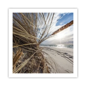 Affisch - Elementens möte - 60x60 cm