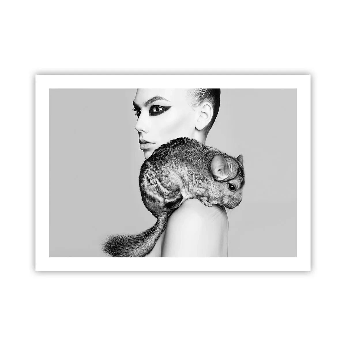 Affisch - Dam med chinchilla - 70x50 cm