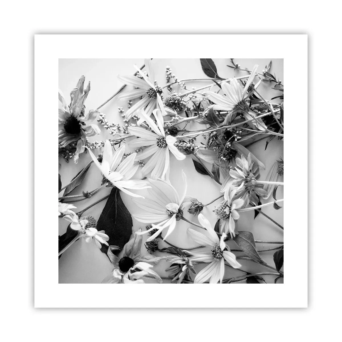 Affisch - Icke-blombukett - 40x40 cm