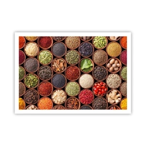 Affisch - Världens alla smaker - 100x70 cm