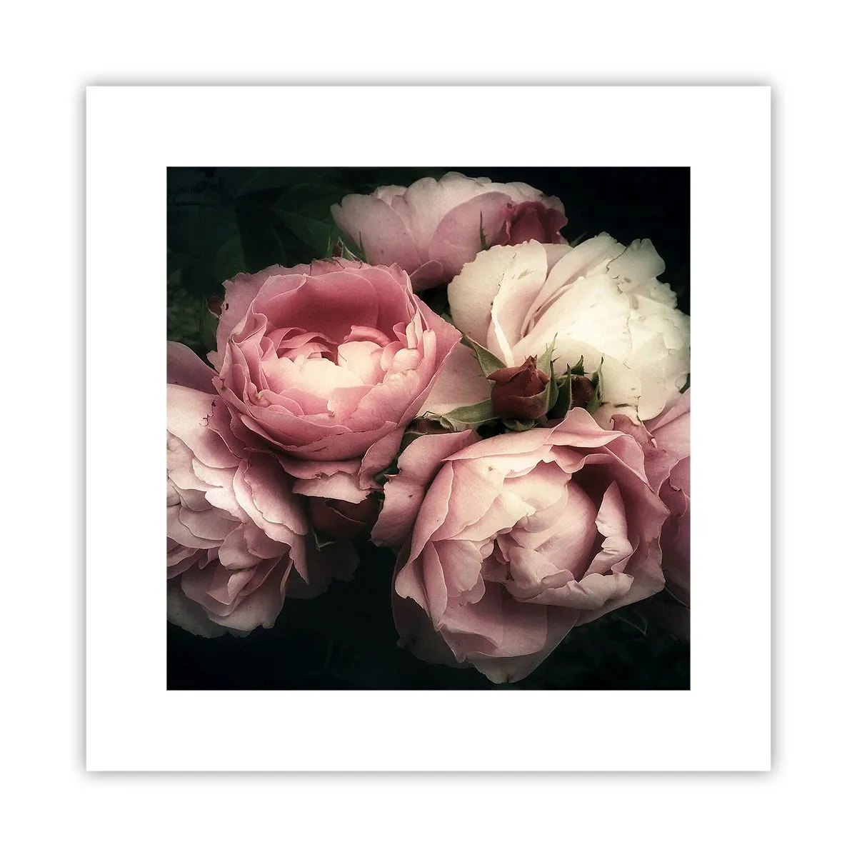 Affisch - Belle epoque charm - 30x30 cm