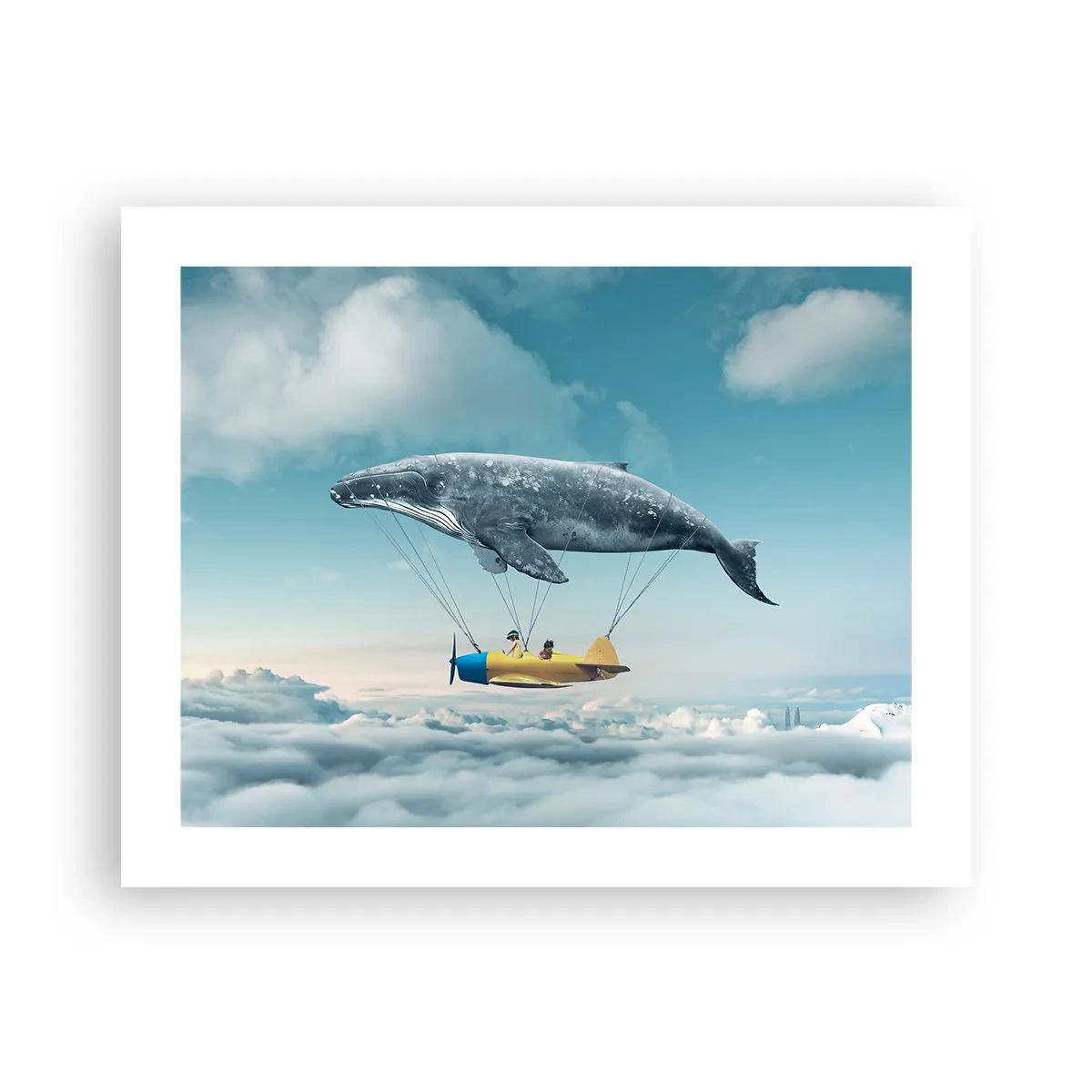 Affisch - Varför inte? - 50x40 cm