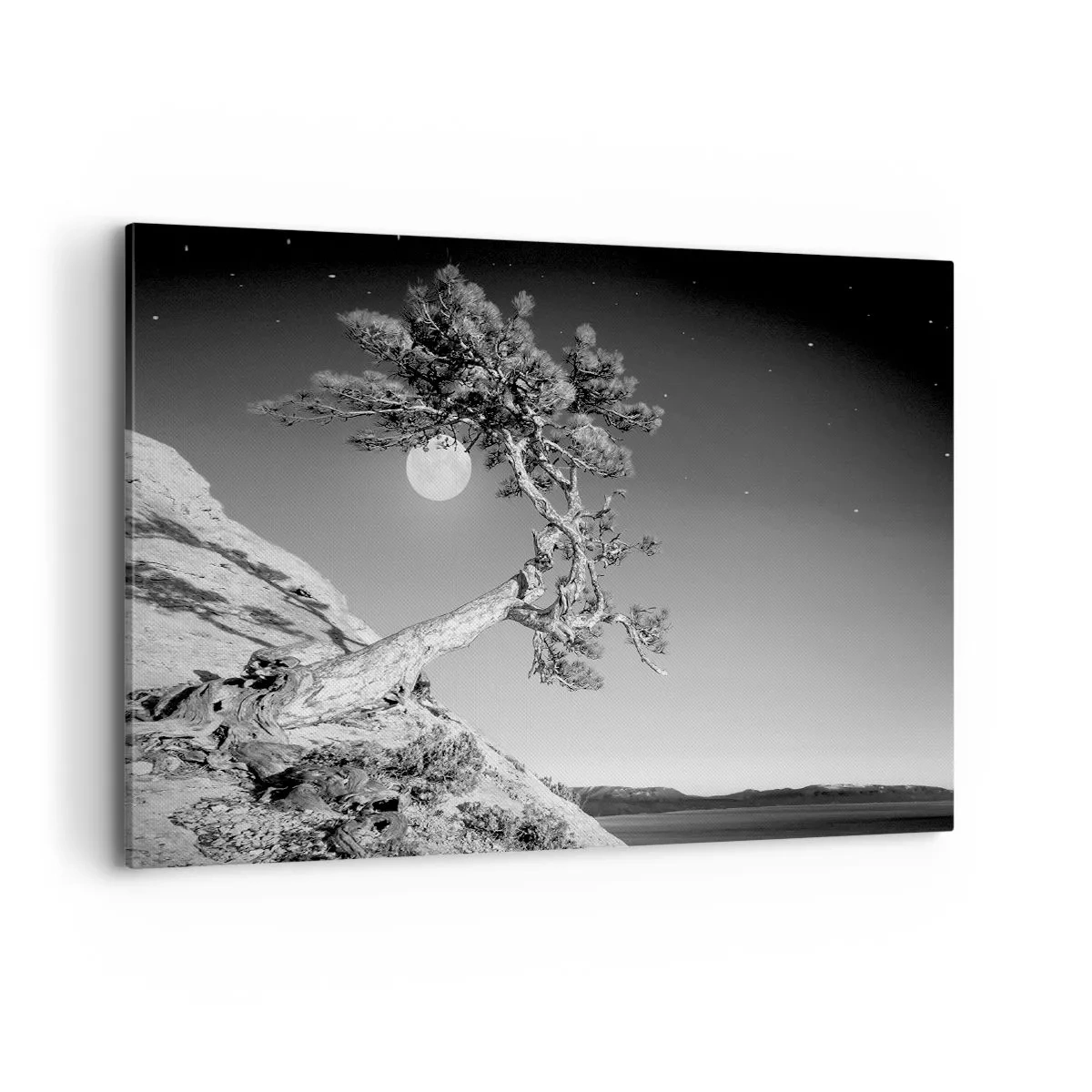 Canvastavla - Bild på duk - Segerrik kämpe - 100x70 cm