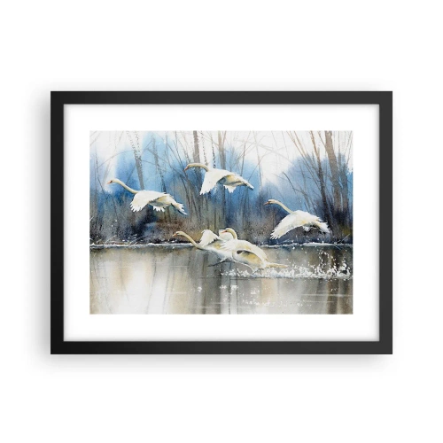 Affisch i svart ram - Som i en saga om vilda svanar - 40x30 cm