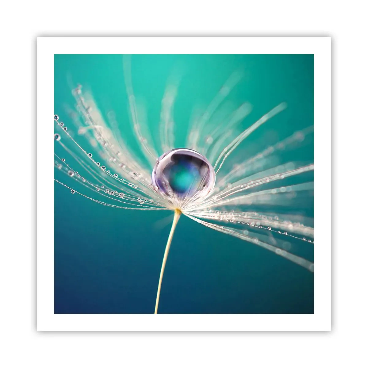Affisch - Mystisk stund - 60x60 cm