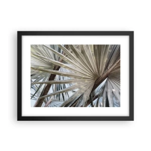 Affisch i svart ram - Solfjädrarna i tropikerna - 40x30 cm