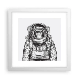 Affisch i vit ram - Alternativ evolution - 30x30 cm