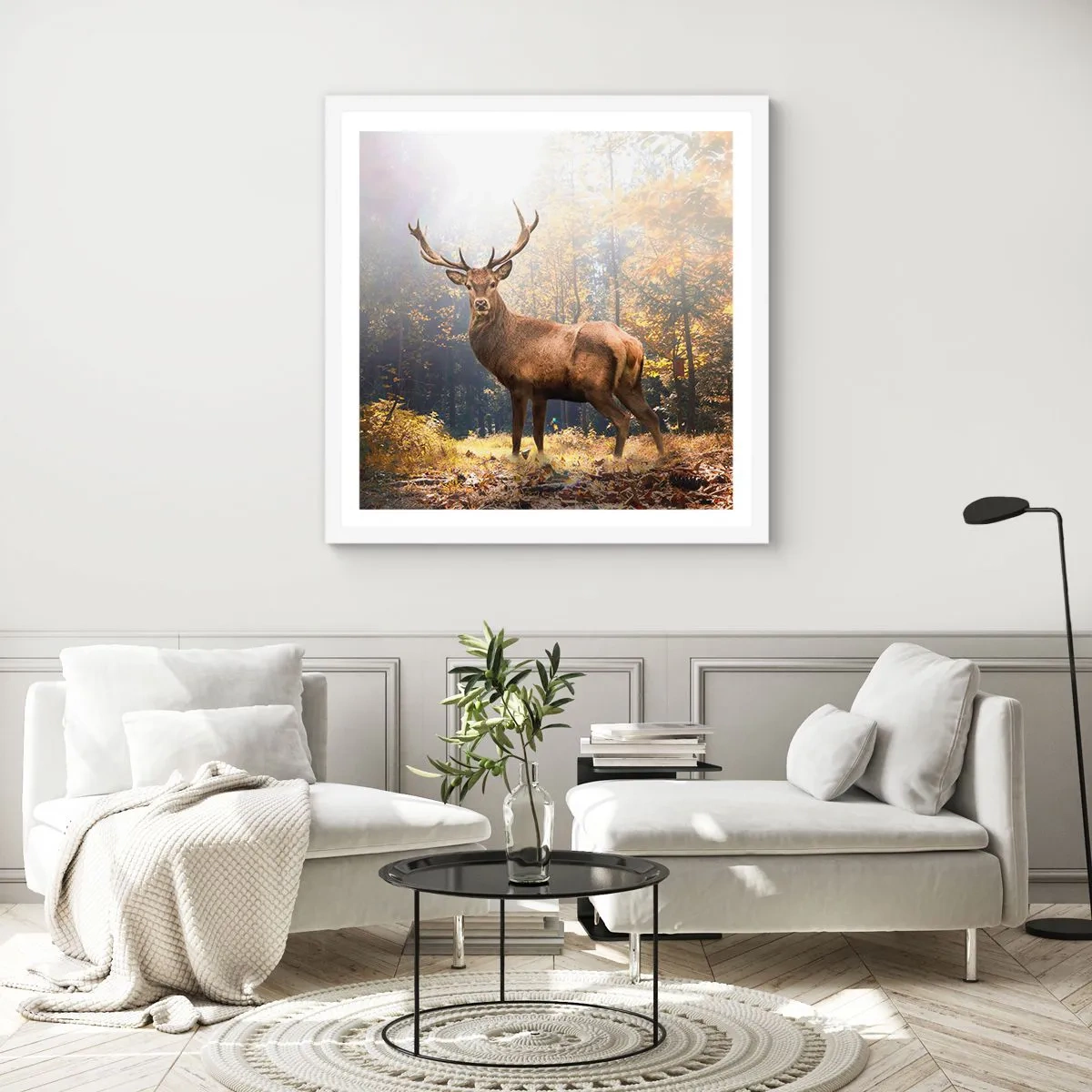 Affisch i vit ram - I fullt majestät - 50x50 cm