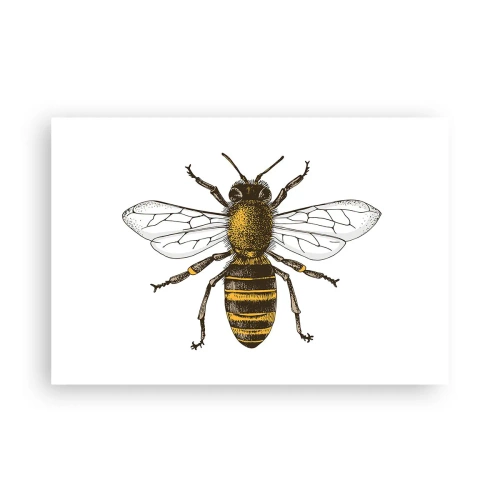 Affisch - Vackert och bra - 91x61 cm