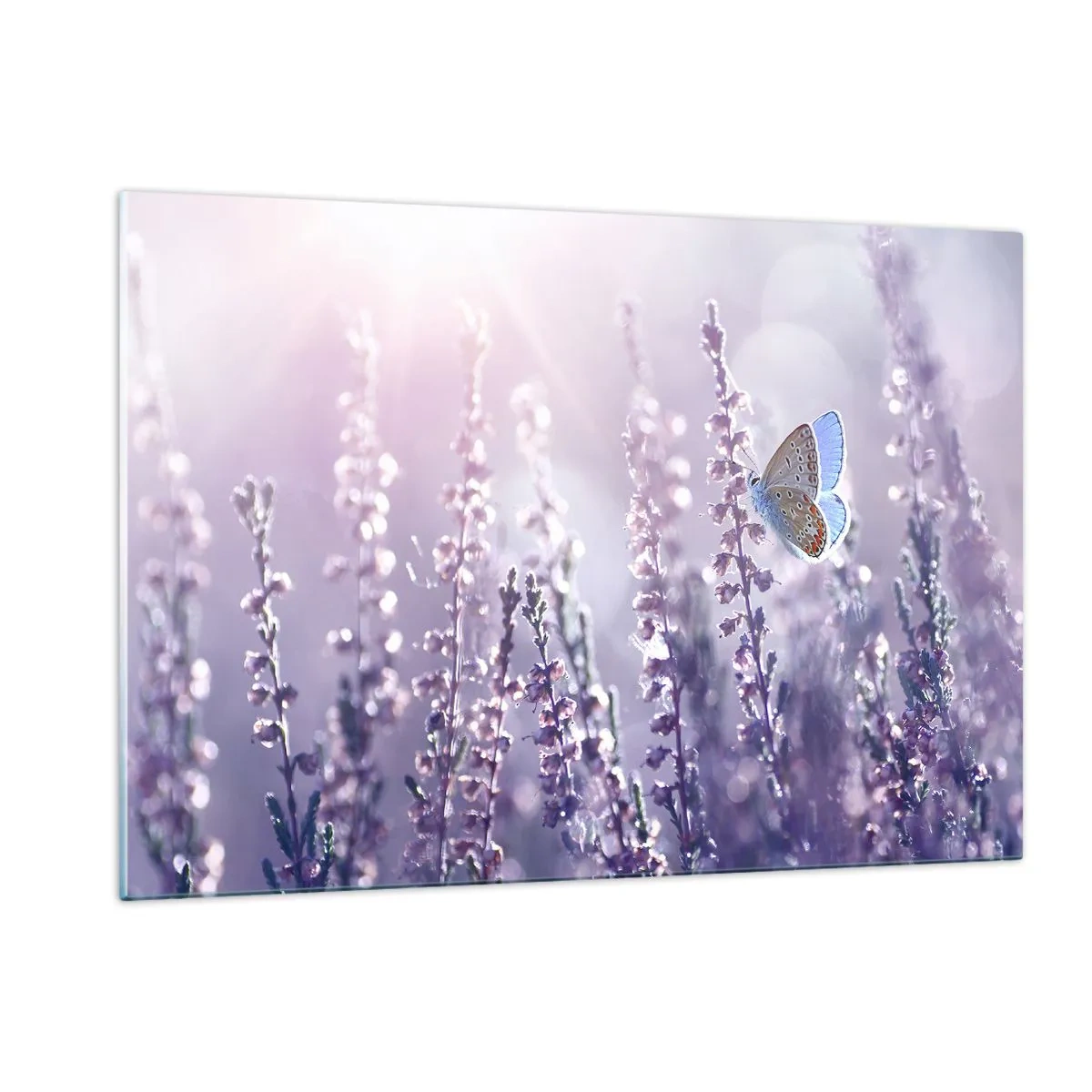 Glastavla - Bild på glas - En fjärils kyss - 120x80 cm