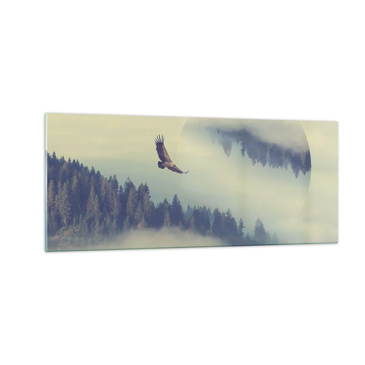 Glastavla - Bild på glas - Örnens skugga - 100x40 cm